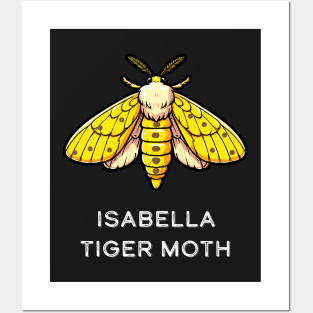 Isabella Tiger Moth Posters and Art